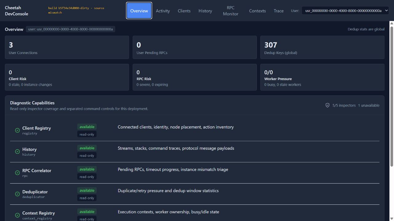 The read-only DevConsole overview with counts for connections, pending calls, deduplication keys, client and call risk, worker pressure, and five available inspectors