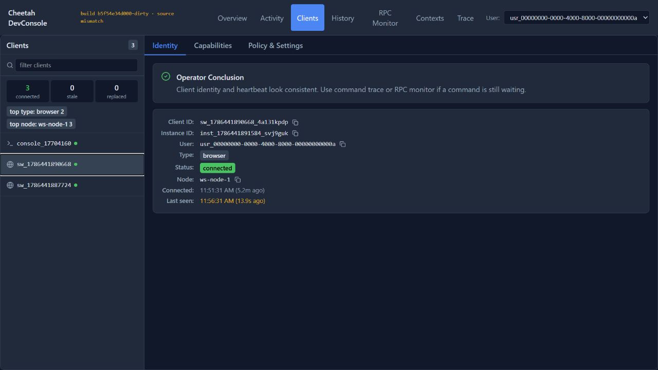 A client identity panel showing client, instance and user identifiers, node placement, connection status and last-seen time, under a plain-language operator conclusion